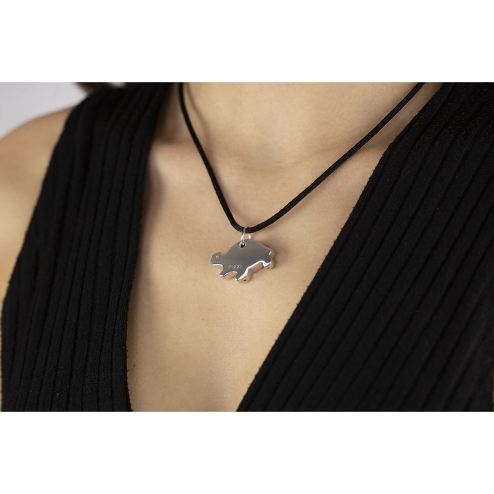 Silver necklace with large turtle pendant