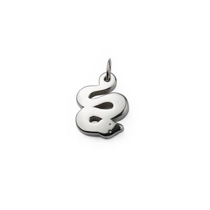Collana con pendente in argento serpente grande